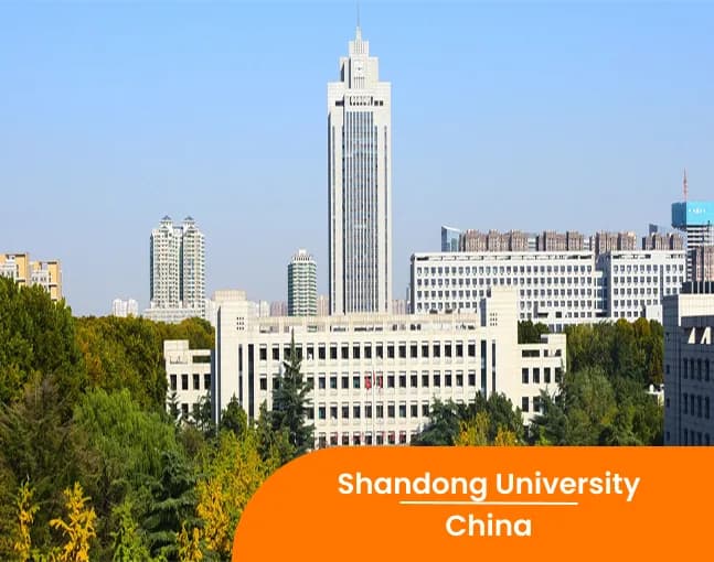 Shandong University