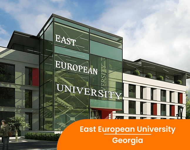East European University
