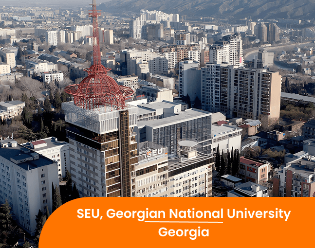 Georgian National University SEU