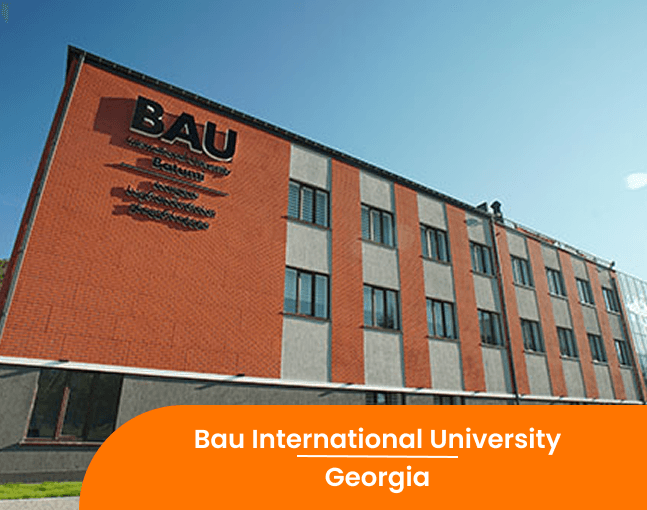 BAU International University